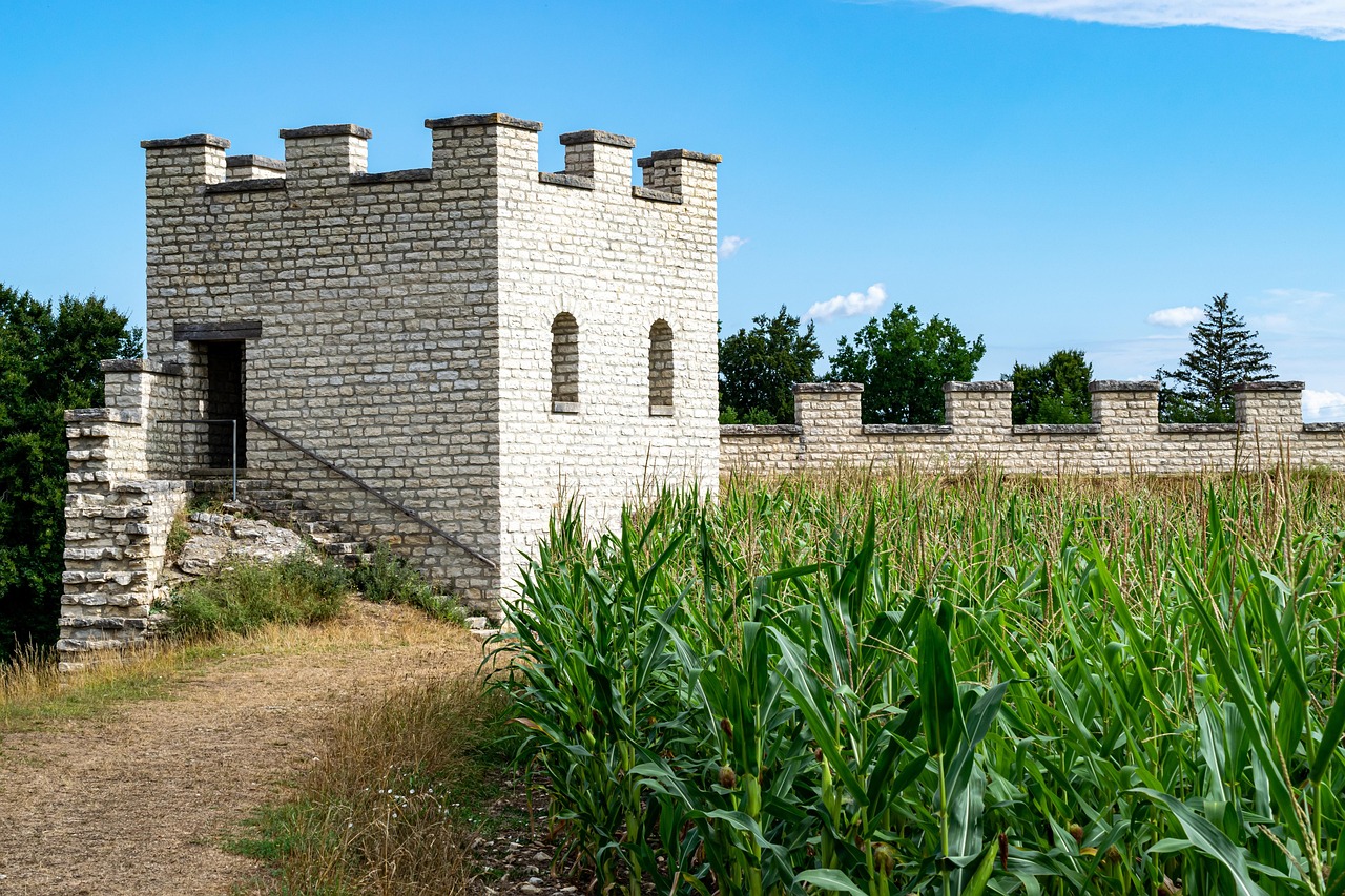 Labirinto gigante vicino a Parma, con sentieri intricati tra le alte piante verdi.